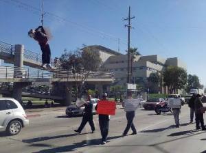 polis2