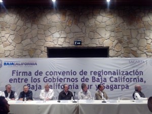 IMG_20150212_183252