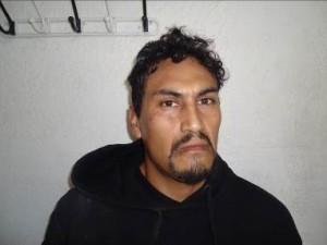 JOSE LUIS HERNANDEZ GOMEZ-OA MALTRATO O CRUELDAD   ANIMAL