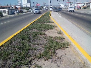 Servicios_Públicos_(1)