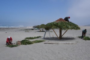 Palapas (2)