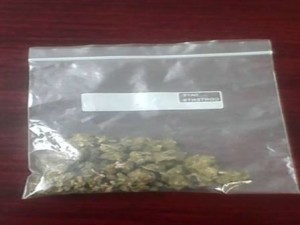 MARIHUANA (3)