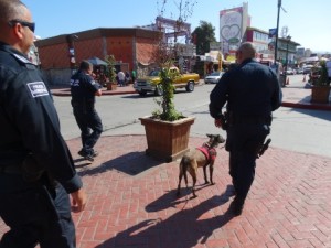 221015 K9 en calle Primera (4)